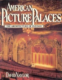 Image of American Picture places: the architecture of fantasy